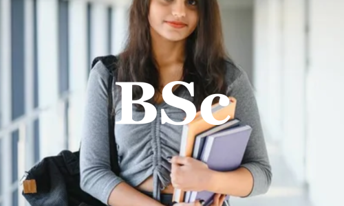 BSC(Hons) (COMPUTING, CYBER SECURITY)