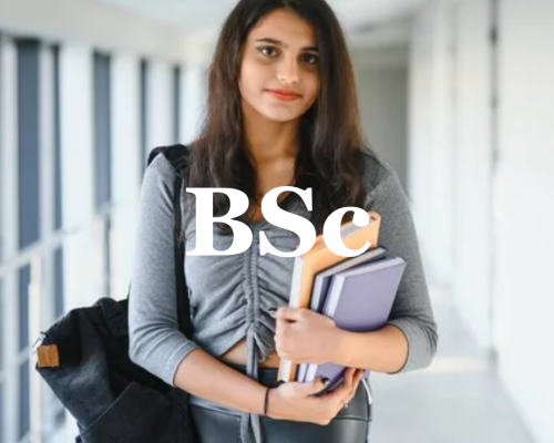 BSC(Hons) (COMPUTING, CYBER SECURITY, IT, AI)