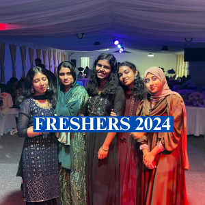 Freshers 2024